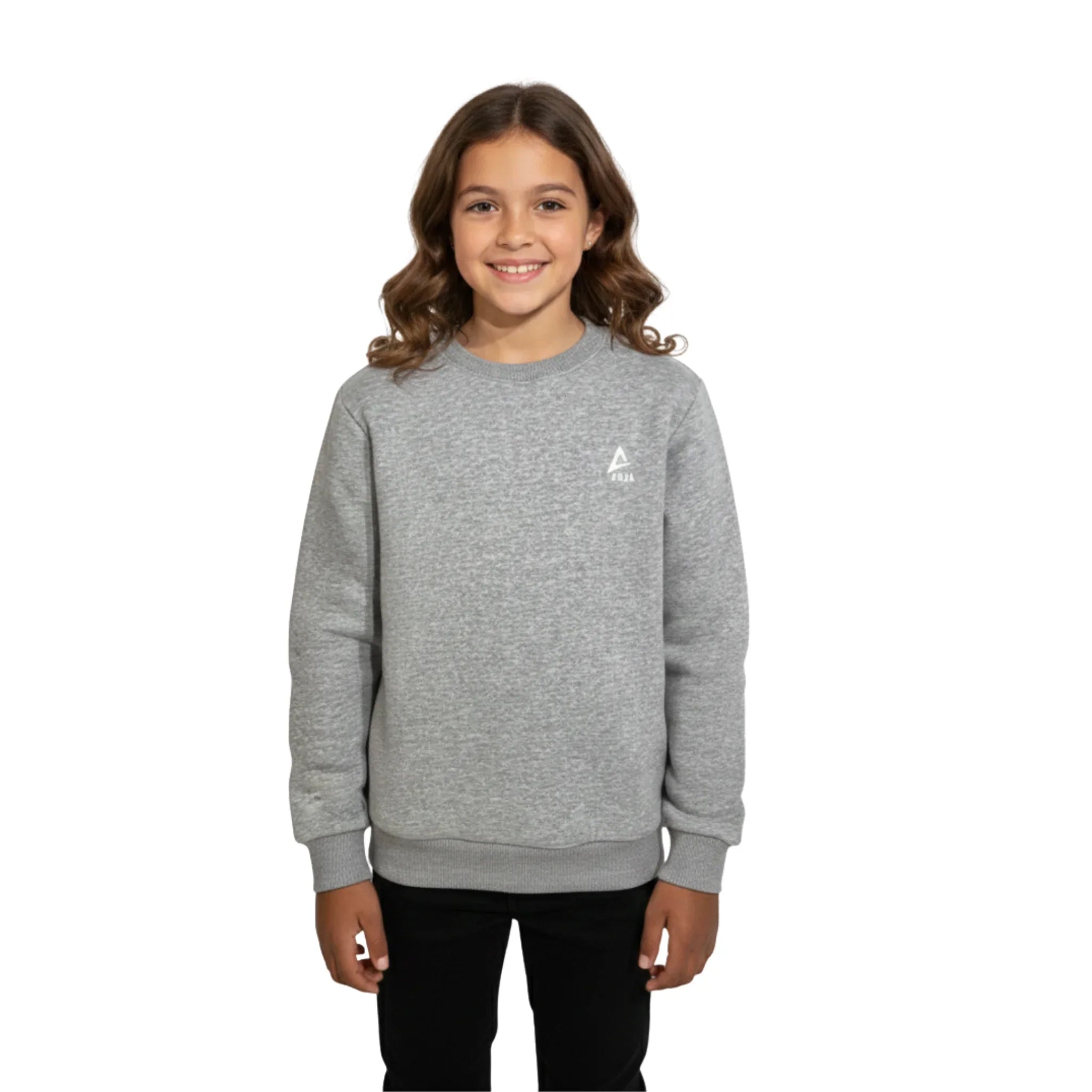 Classic Crewneck Sweatshirt - Grey