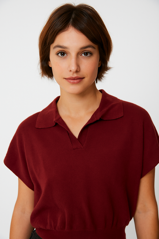 Cotton Blend Collar Knit Polo - Burgundy