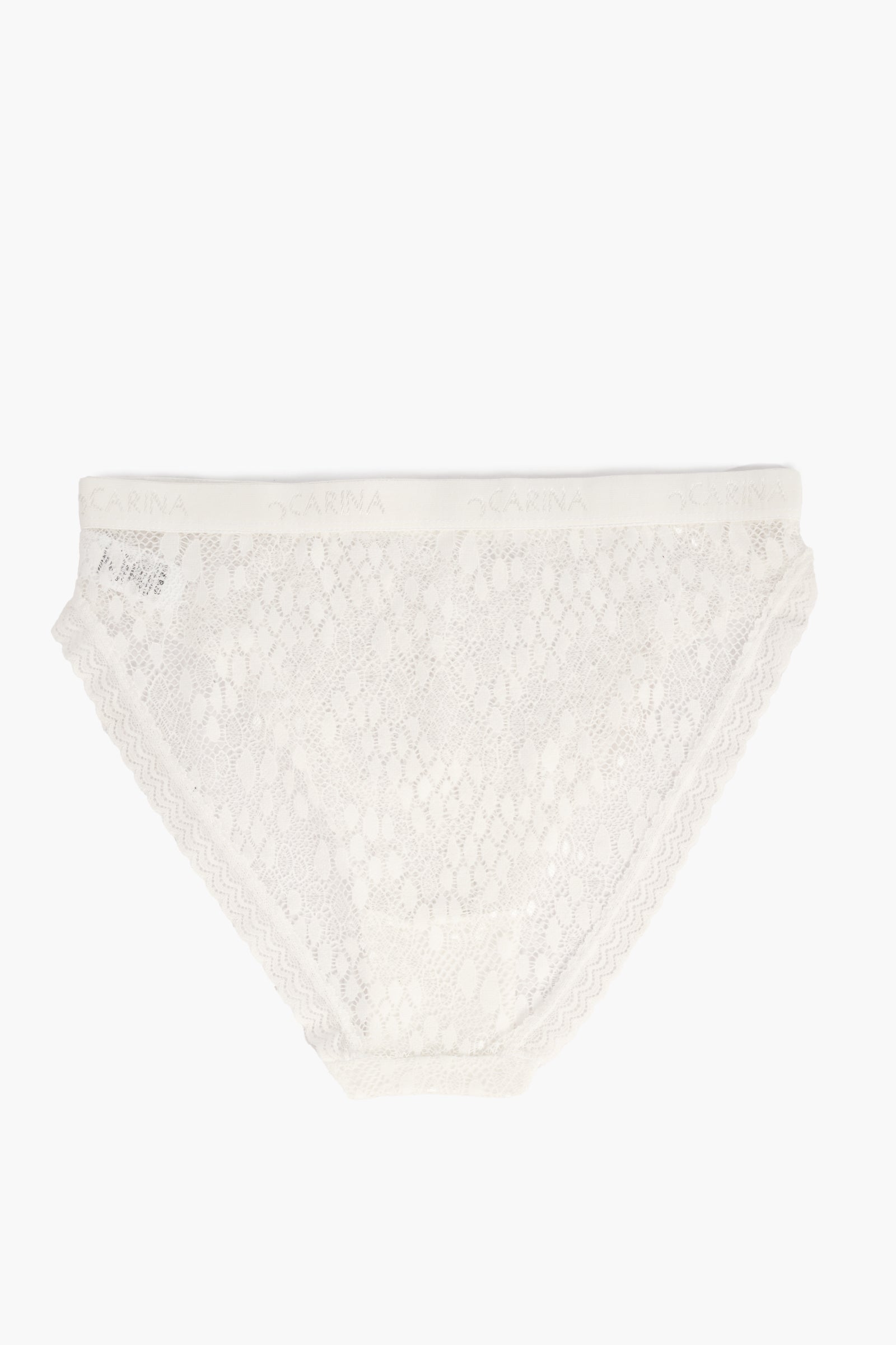 Elegance Lace Brief Panty