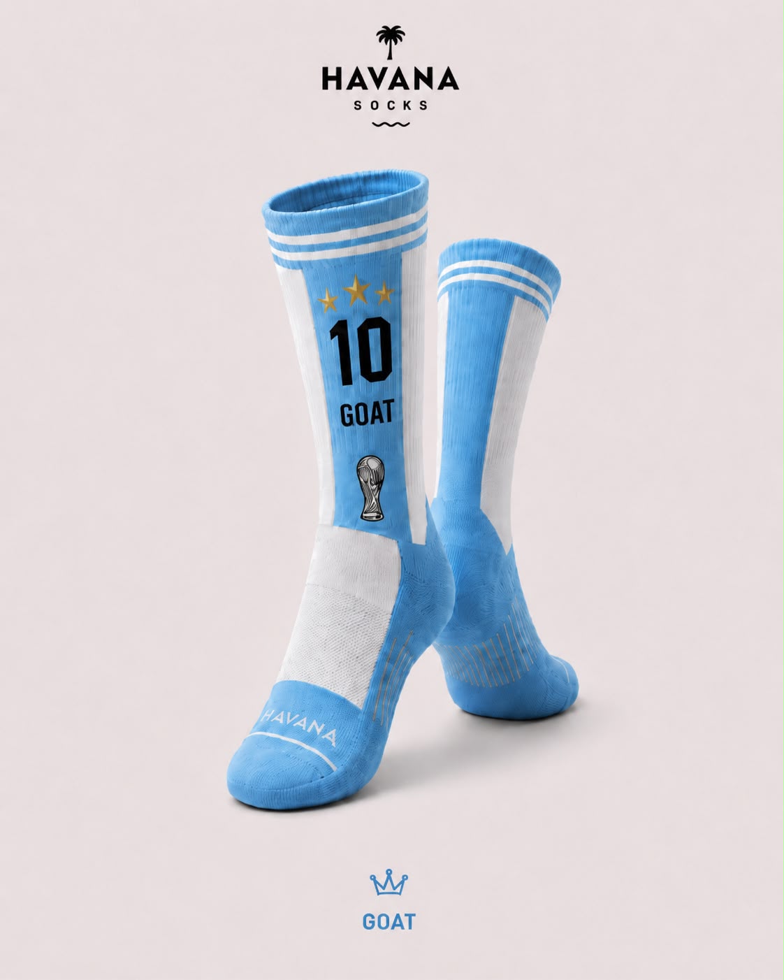 GOAT 10