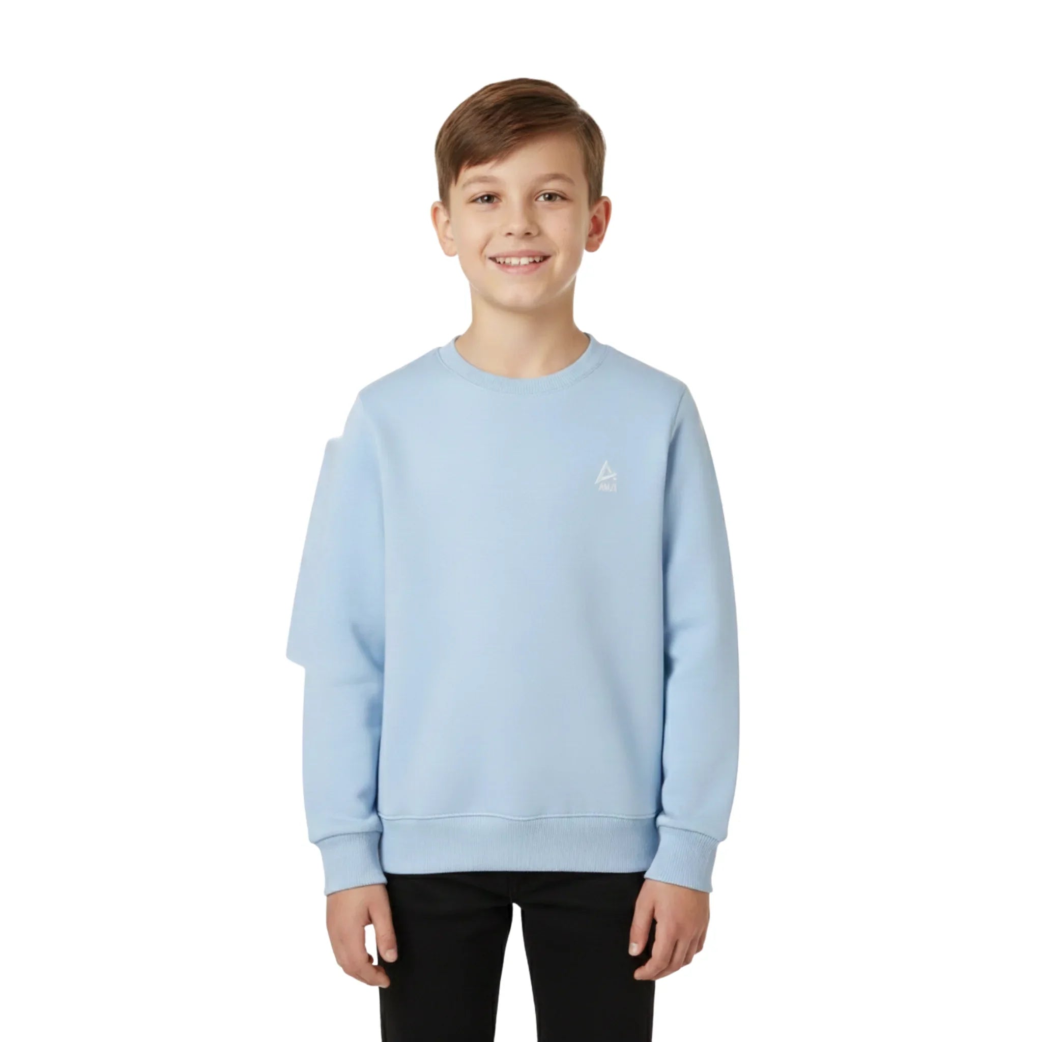 Plain Crewneck Sweatshirt - Light Blue