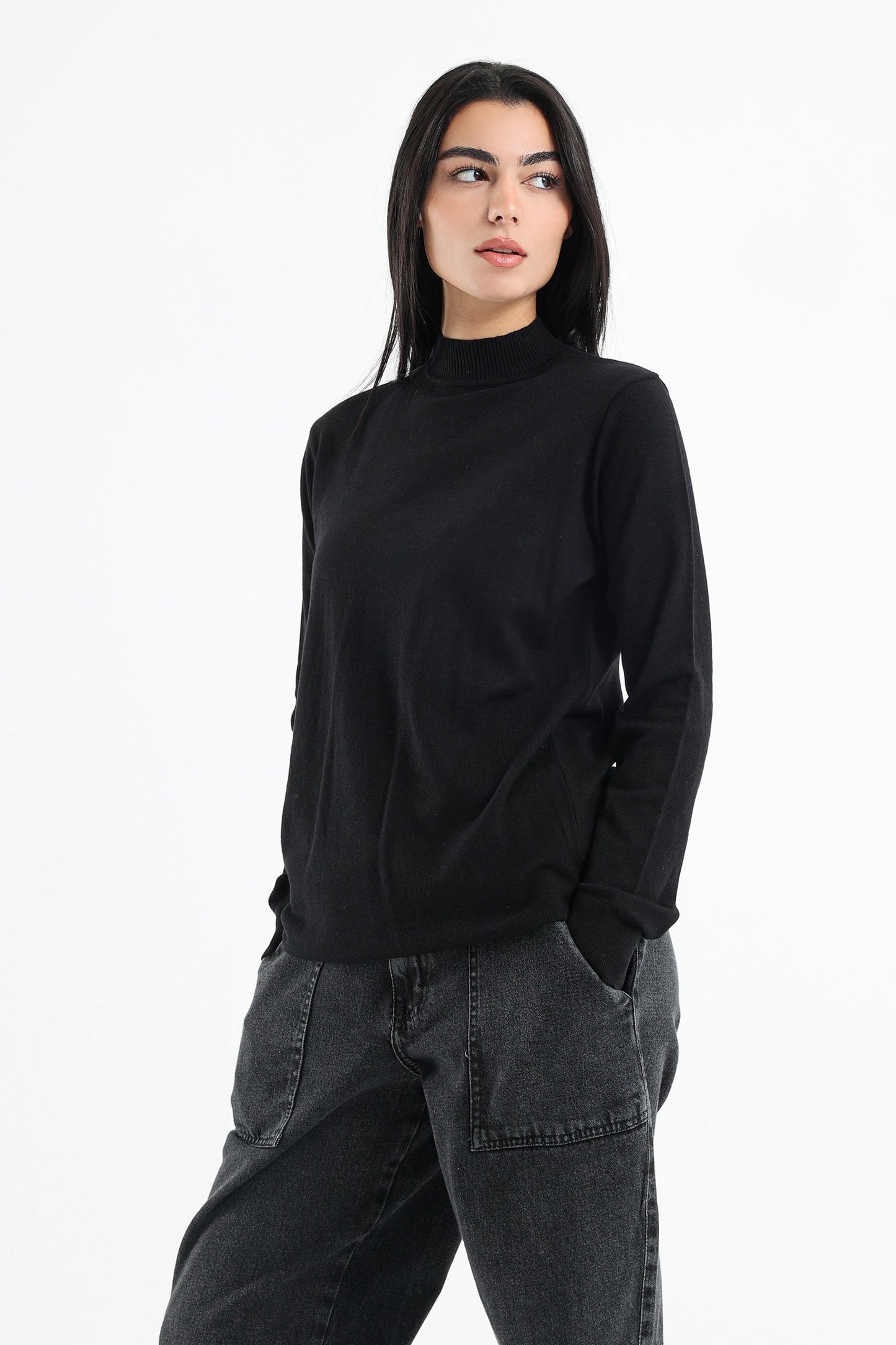 Ribbed Hem Plain Pullover