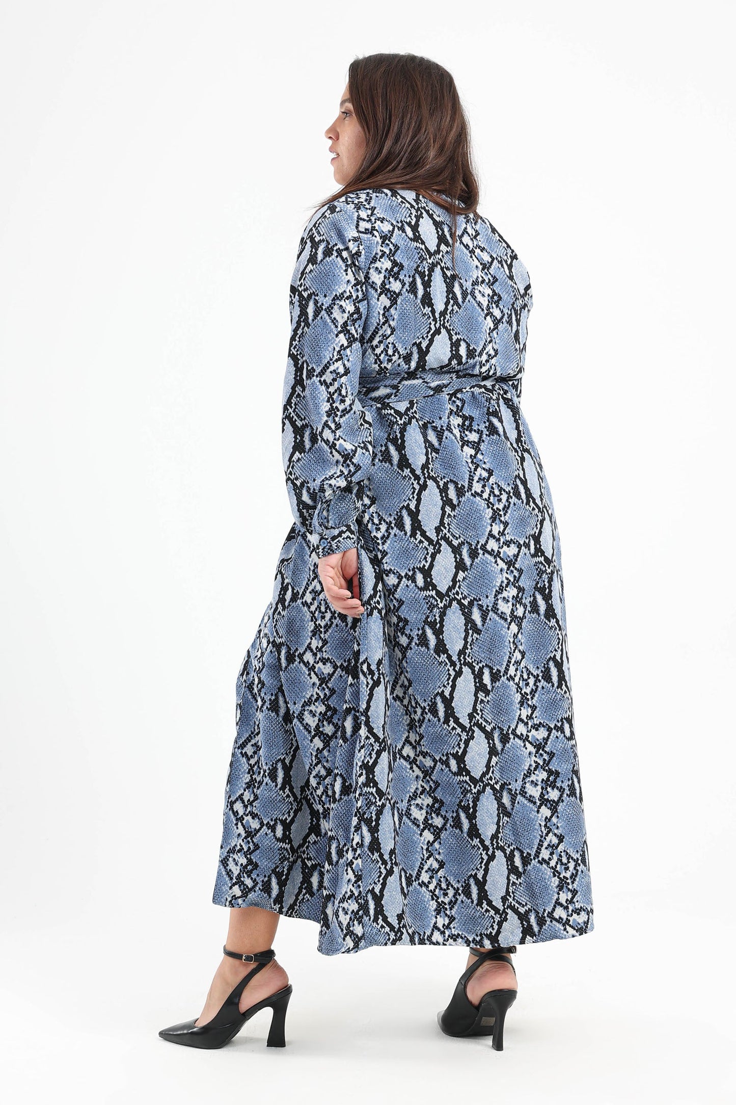 Snake Print Midi Long Sleeves Dress