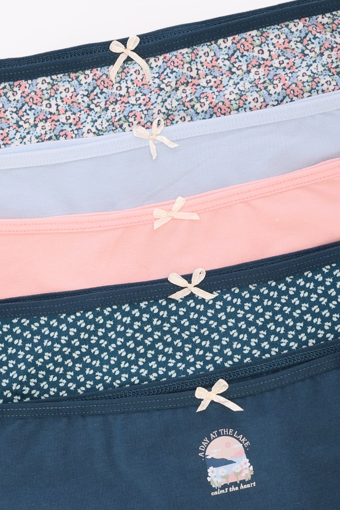 Pack of 5 Colored Brief Panties