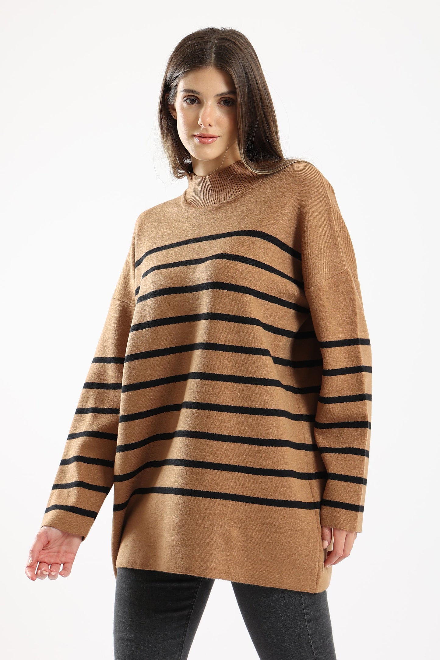 Regular Fit Striped Pullover