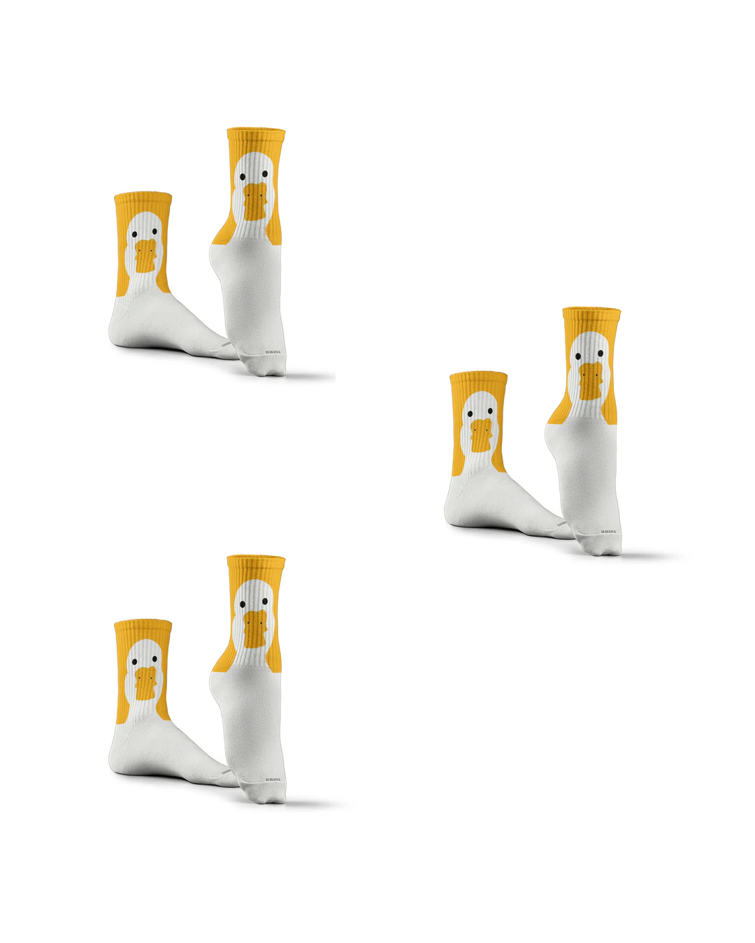 Set 3 of BigDuck