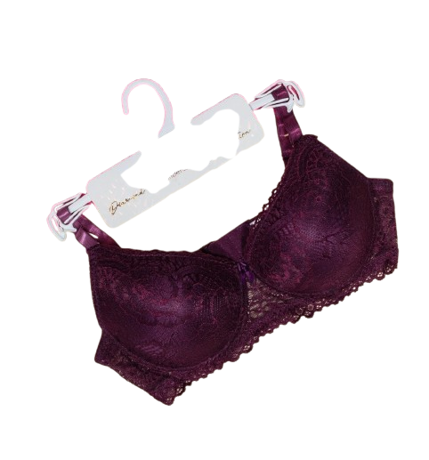 Bra Lace Push Up