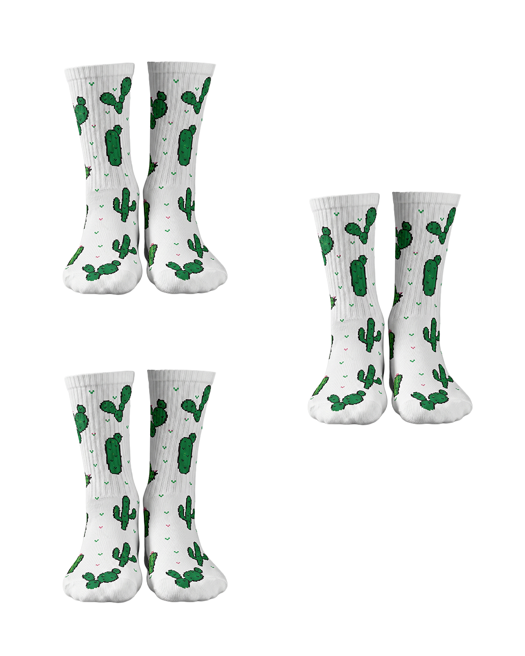 Set 3 of Cactus