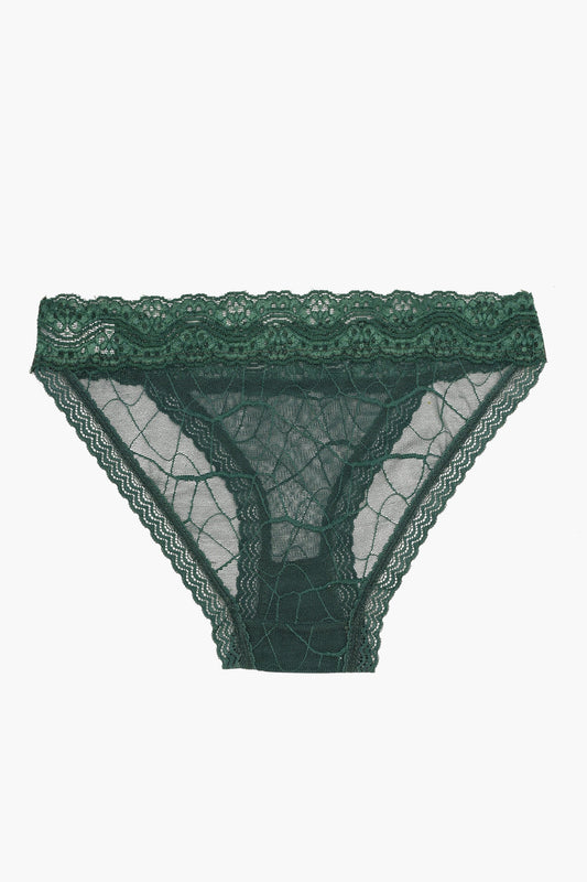 Essential Lace Bikini Panty - Deep Green