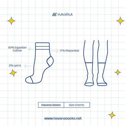 Cotton Basic Striped Crew Socks -Pack Of 3