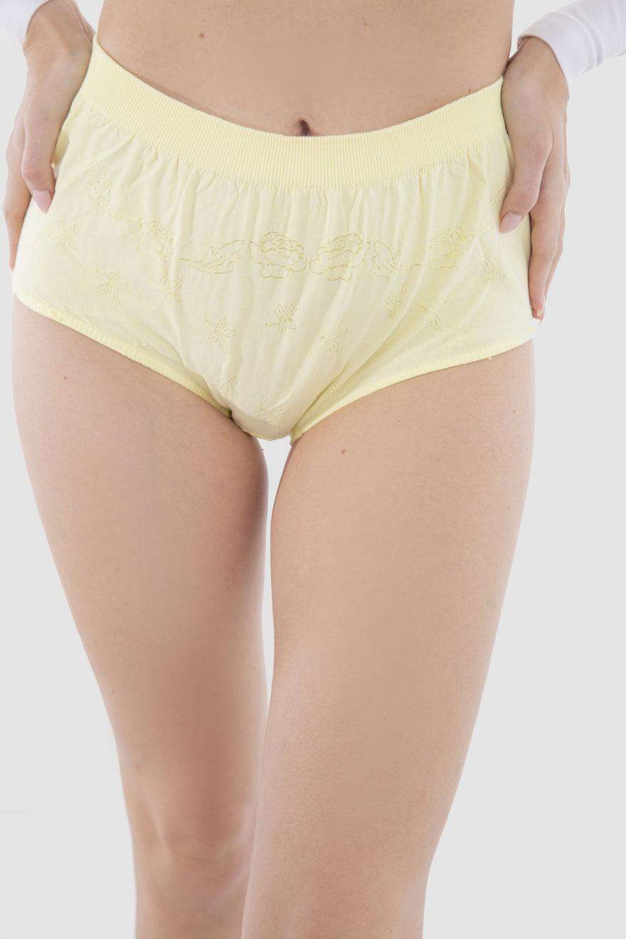 High Waist Panty - Carina - ÙƒØ§Ø±ÙŠÙ†Ø§