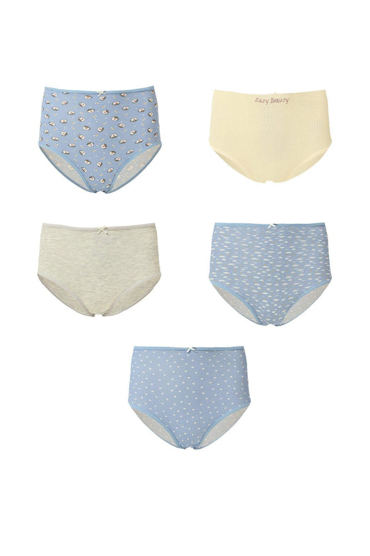 High Waisted Brief - Pack of 5 - Carina - ÙƒØ§Ø±ÙŠÙ†Ø§