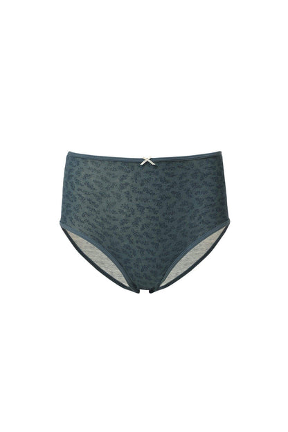 High Waisted Briefs - Pack of 3 - Carina - ÙƒØ§Ø±ÙŠÙ†Ø§