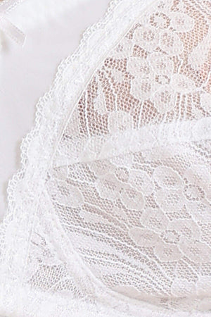 Minimizer Non Padded Bra - Carina - ÙƒØ§Ø±ÙŠÙ†Ø§