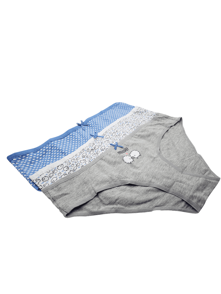 Pack of 3 Bikini Panties - Carina - ÙƒØ§Ø±ÙŠÙ†Ø§