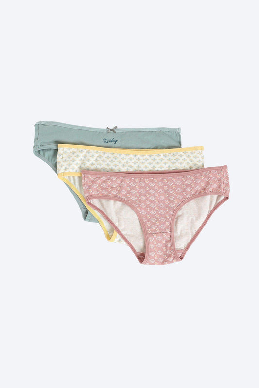 Pack of 3 Colored Bikini Panties - Carina - ÙƒØ§Ø±ÙŠÙ†Ø§