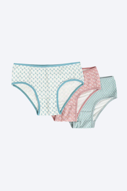 Pack of 3 Colored Brief Panties - Carina - ÙƒØ§Ø±ÙŠÙ†Ø§