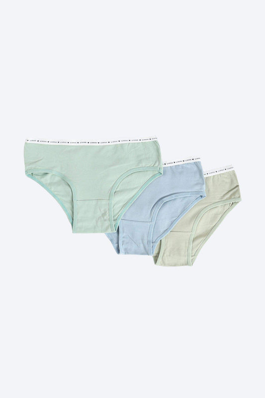 Pack of 3 Colored Brief Panties - Carina - ÙƒØ§Ø±ÙŠÙ†Ø§