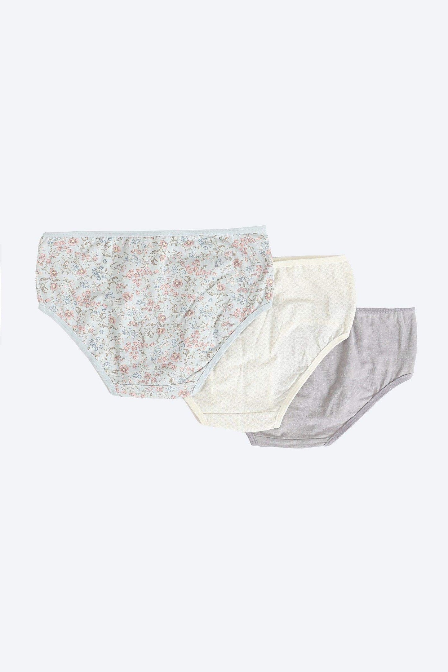 Pack of 3 Colored Brief Panties - Carina - ÙƒØ§Ø±ÙŠÙ†Ø§