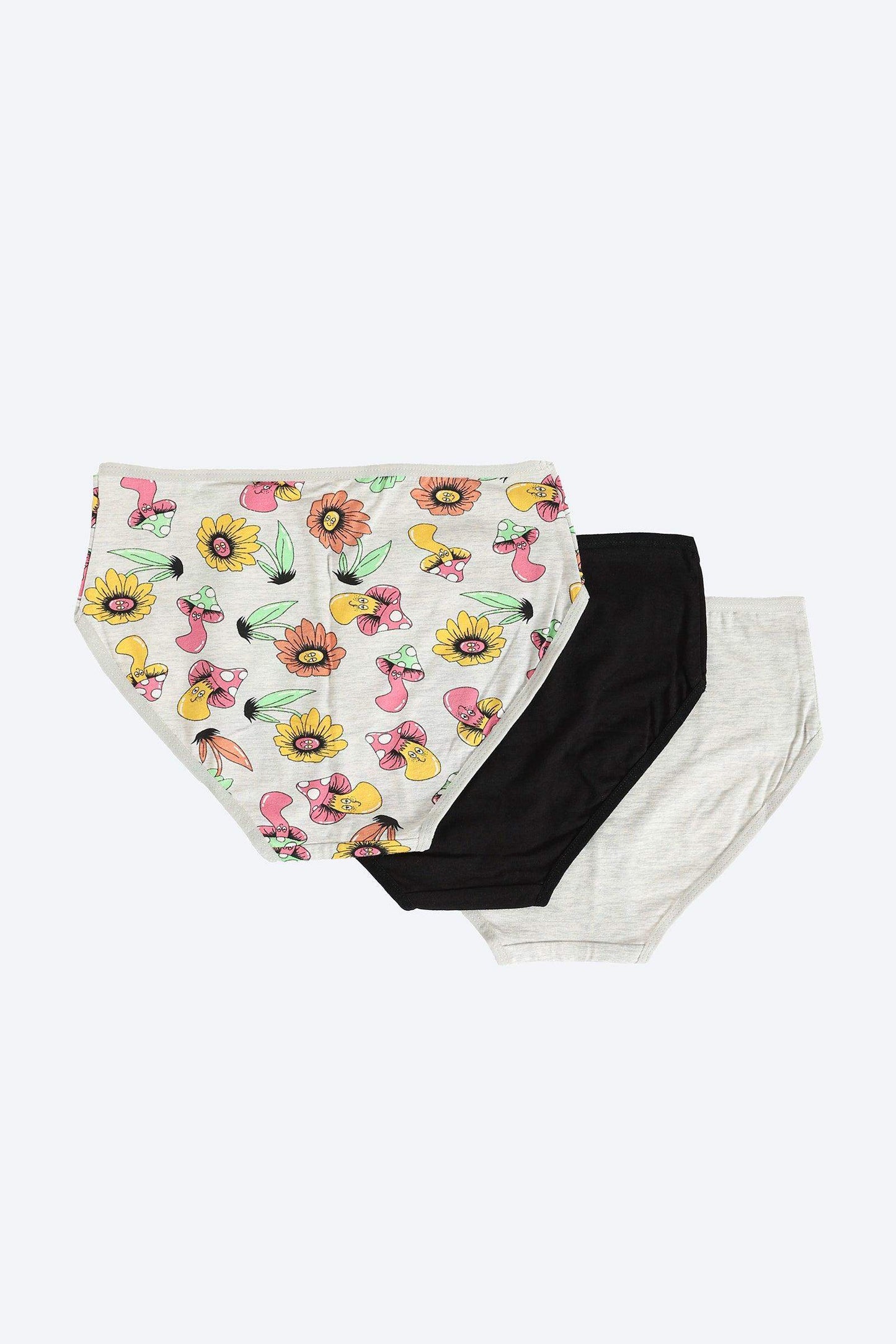 Pack of 3 Colored Brief Panties - Carina - ÙƒØ§Ø±ÙŠÙ†Ø§