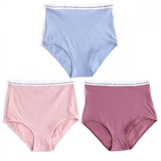 Pack of 3 Cotton Rich Full Brief - Carina - ÙƒØ§Ø±ÙŠÙ†Ø§