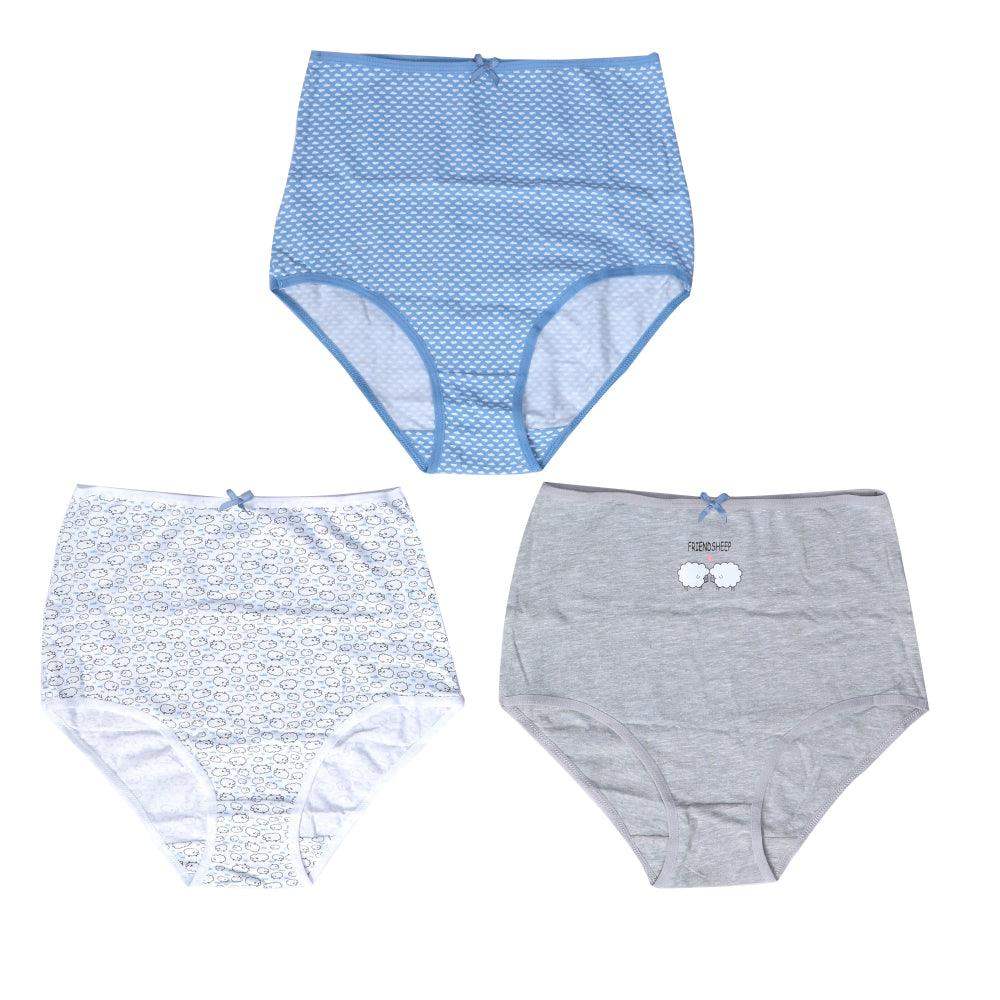 Pack of Full Brief - 3 Pcs - Carina - ÙƒØ§Ø±ÙŠÙ†Ø§